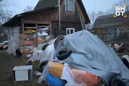 Раскрыта еще одна предполагаемая жертва Богородского маньяка