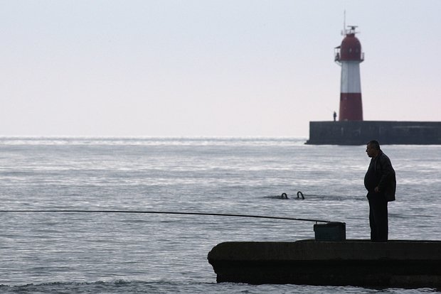 Вводная картинка