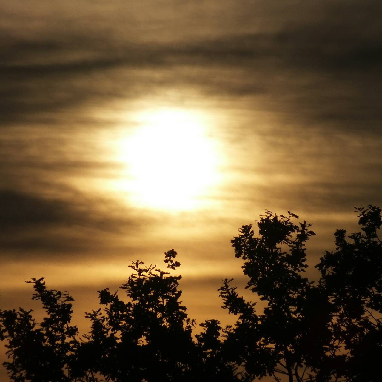 Ученые решили провести пугающую манипуляцию с Солнцем