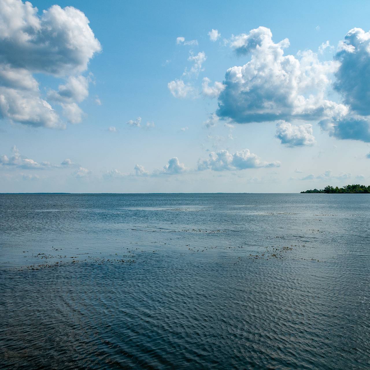 Раскрыты предпочтения зумеров в отпуске