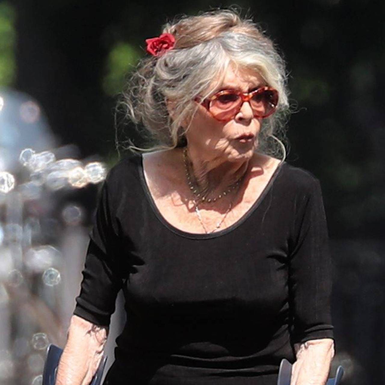 91-летнюю Брижит Бардо срочно госпитализировали