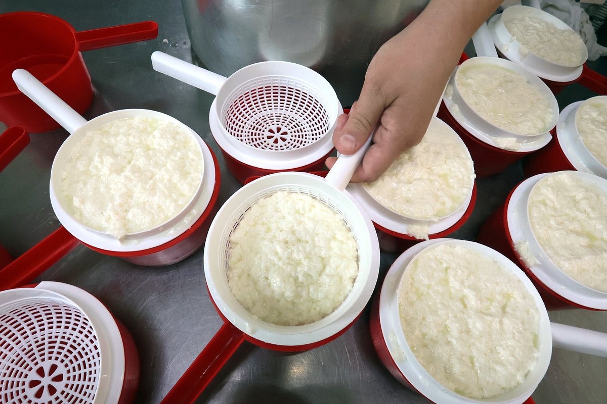 Приготовление творога в молочном цехе частного фермерского хозяйства