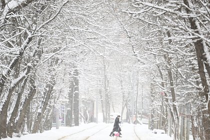 Москвичей завалит снегом