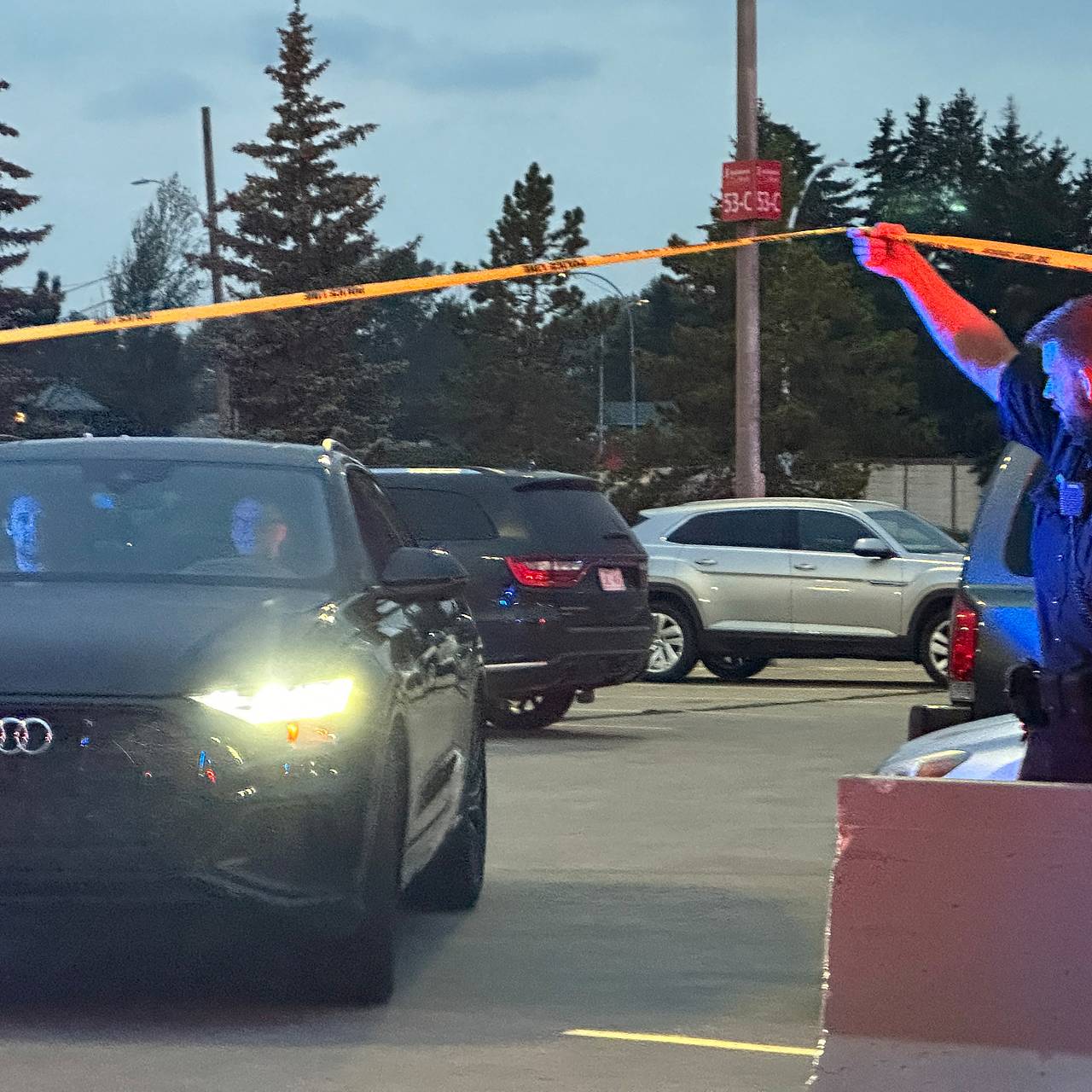 В лесу нашли человеческие останки после жуткого звонка на радио