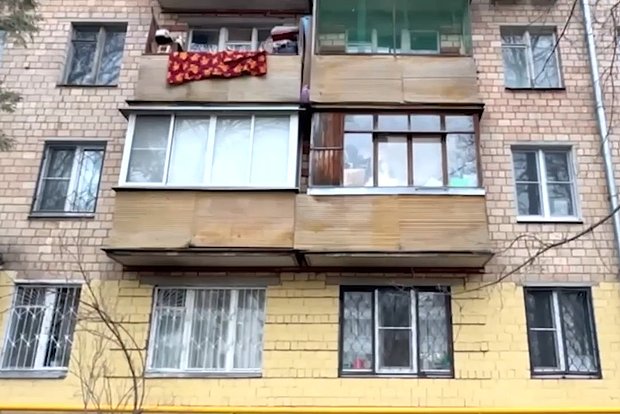 Вводная картинка