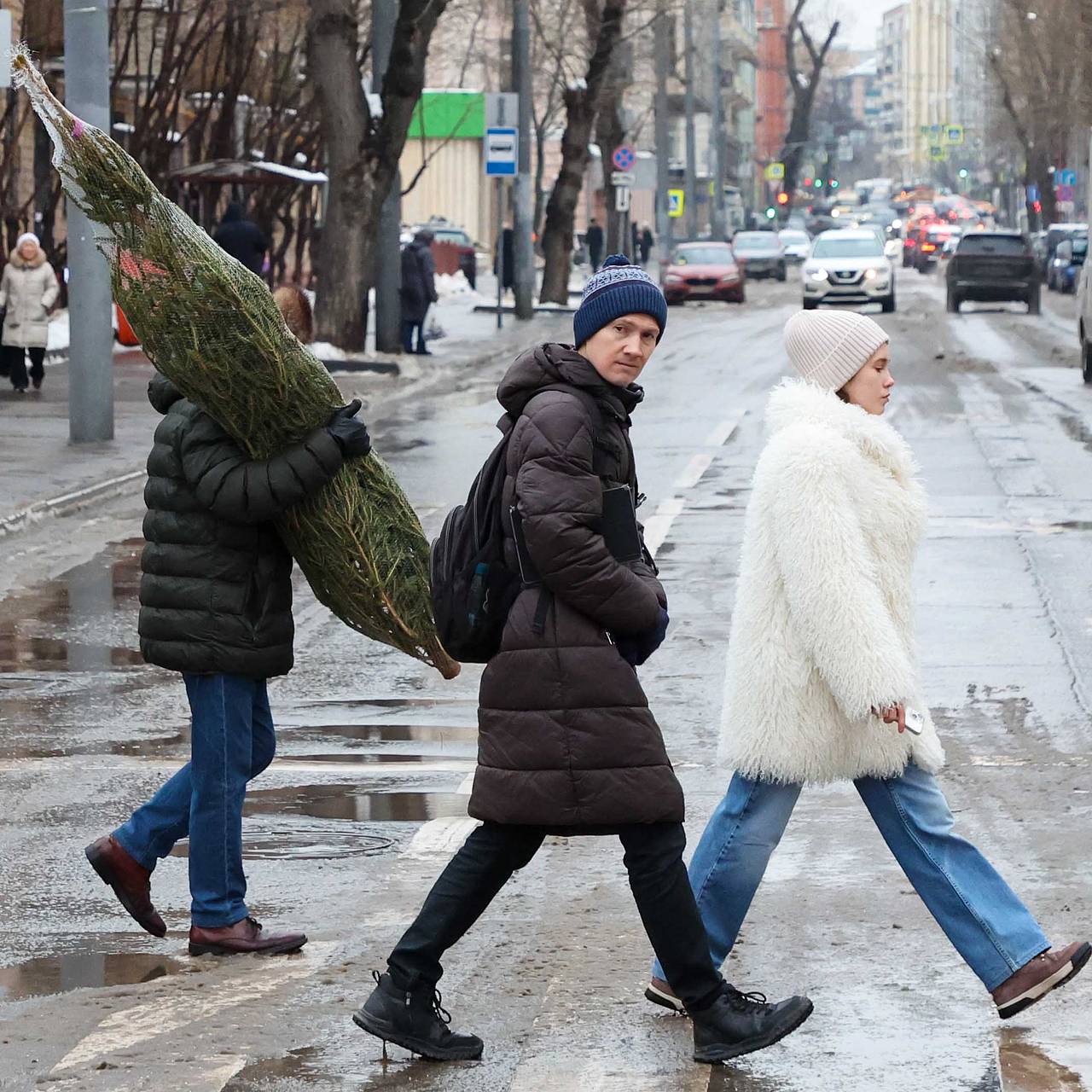 Интерес москвичей к аренде елок объяснили