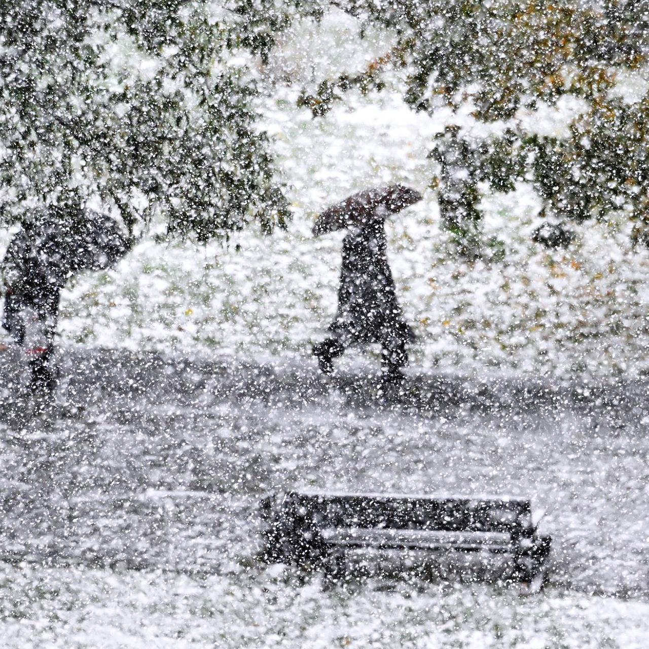 Ряд российских регионов предупредили об опасной погоде