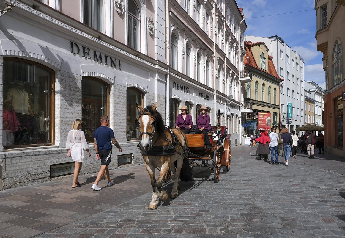 Конная прогулка по Старому городу Таллина, Эстония, 2024 год