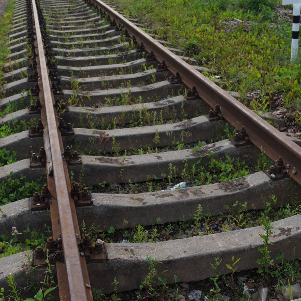Захарова сыронизировала над Латвией из-за желания разобрать железную дорогу до России