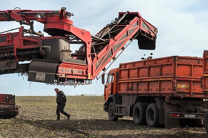 Стало известно о серьезной проблеме российских аграриев