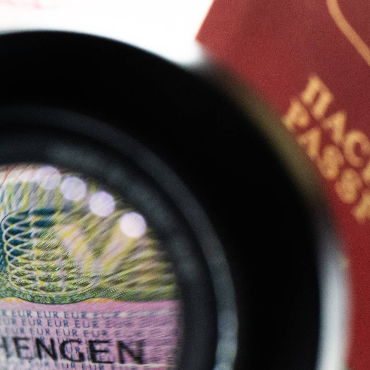 Россиянам раскрыли подробности выдачи долгосрочного шенгена