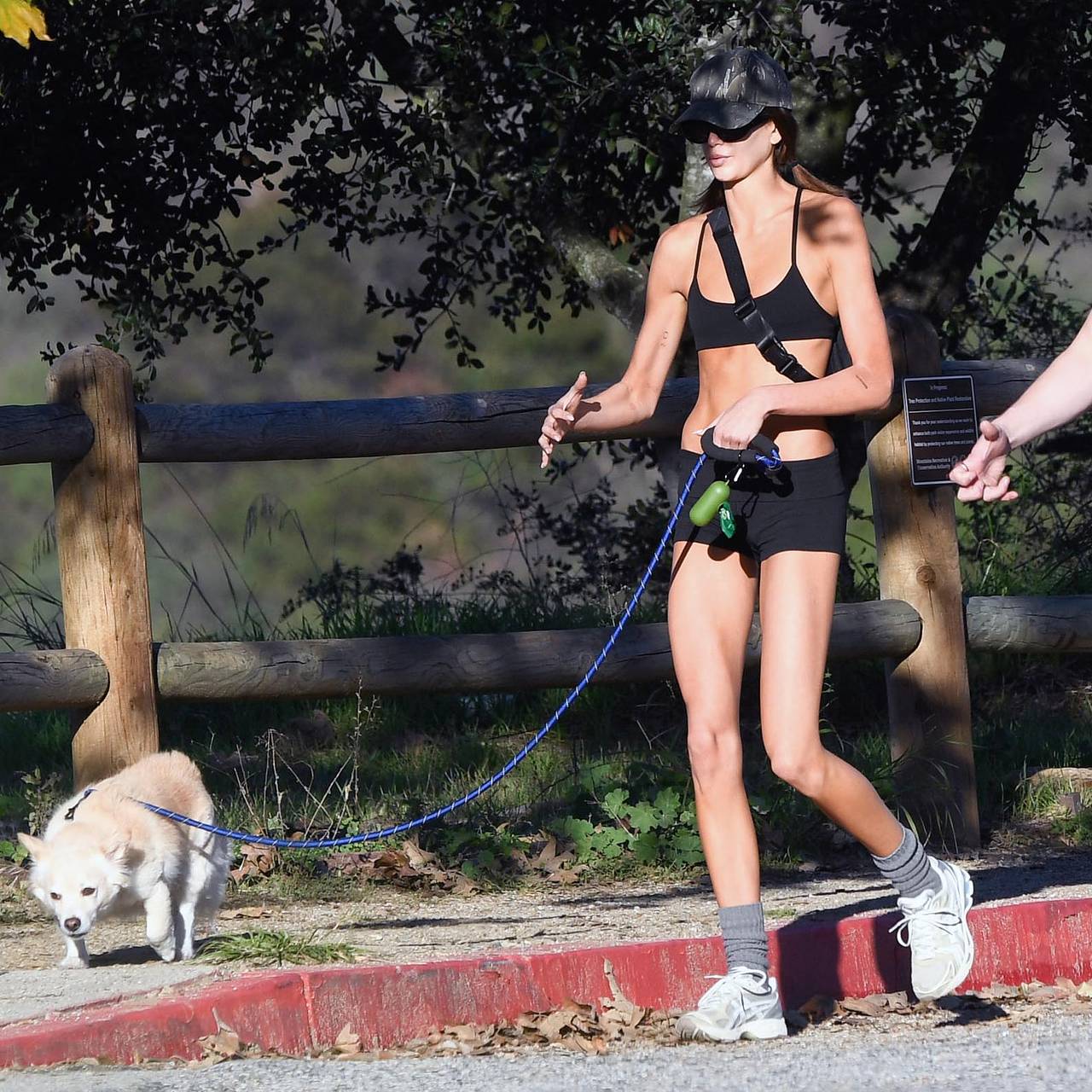 Дочь Синди Кроуфорд в бюстгальтере и микрошортах выгуляла собаку