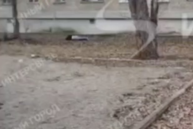 Вводная картинка