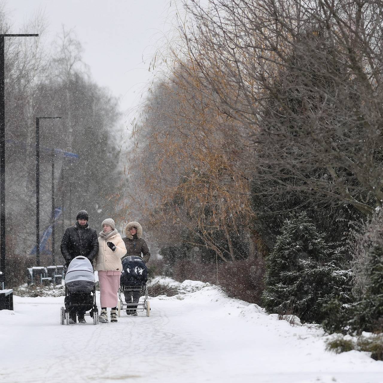 Россиянам рассказали о погоде в декабре