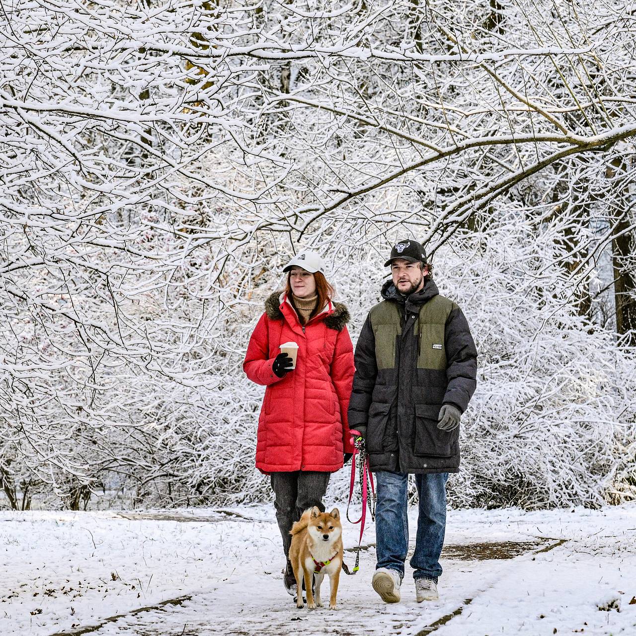 Москвичам рассказали о снеге в декабре