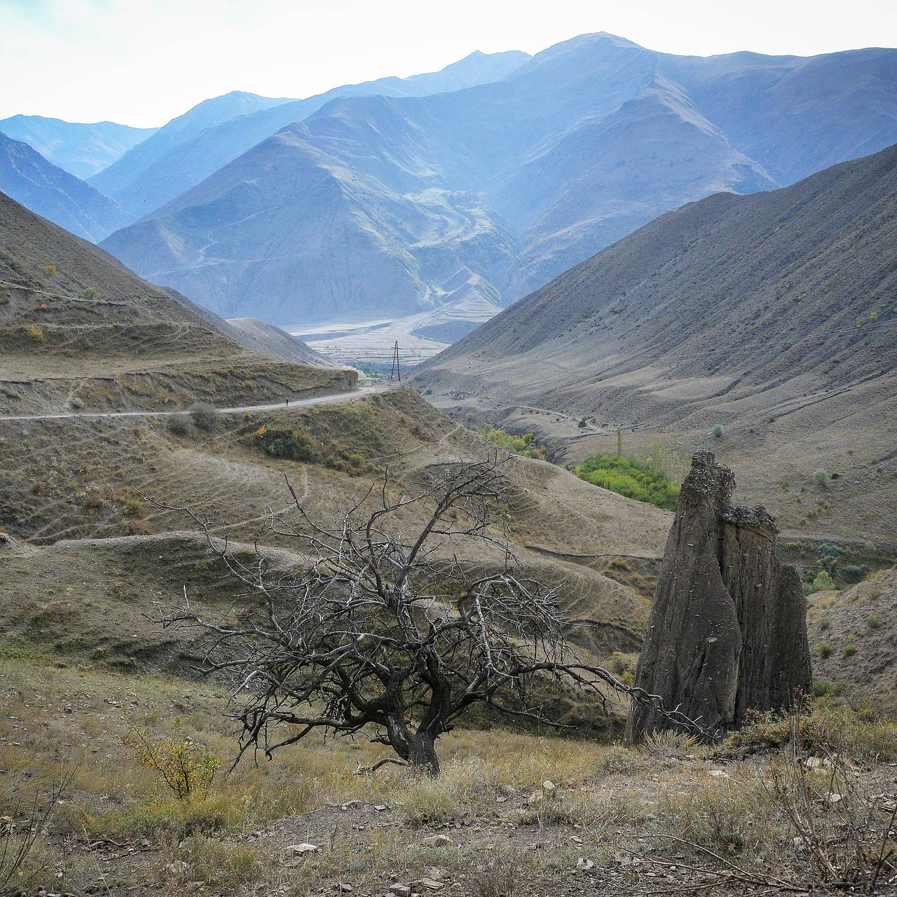 Дочь расправилась с матерью и сбежала в дагестанское село