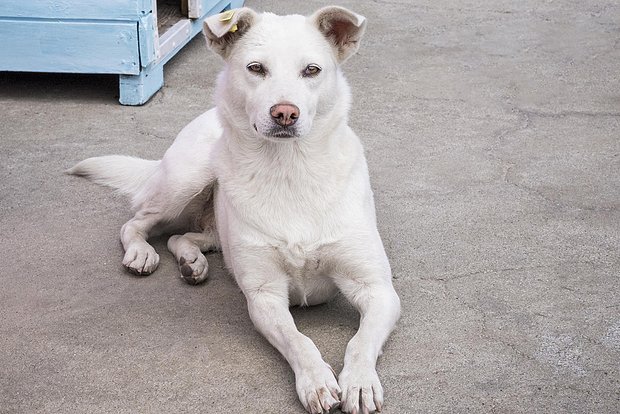 Вводная картинка