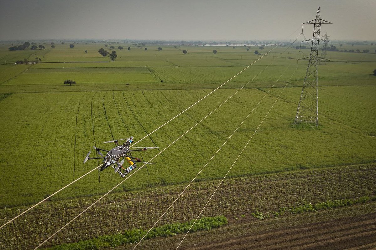 Муравей и работа на ЛЭП