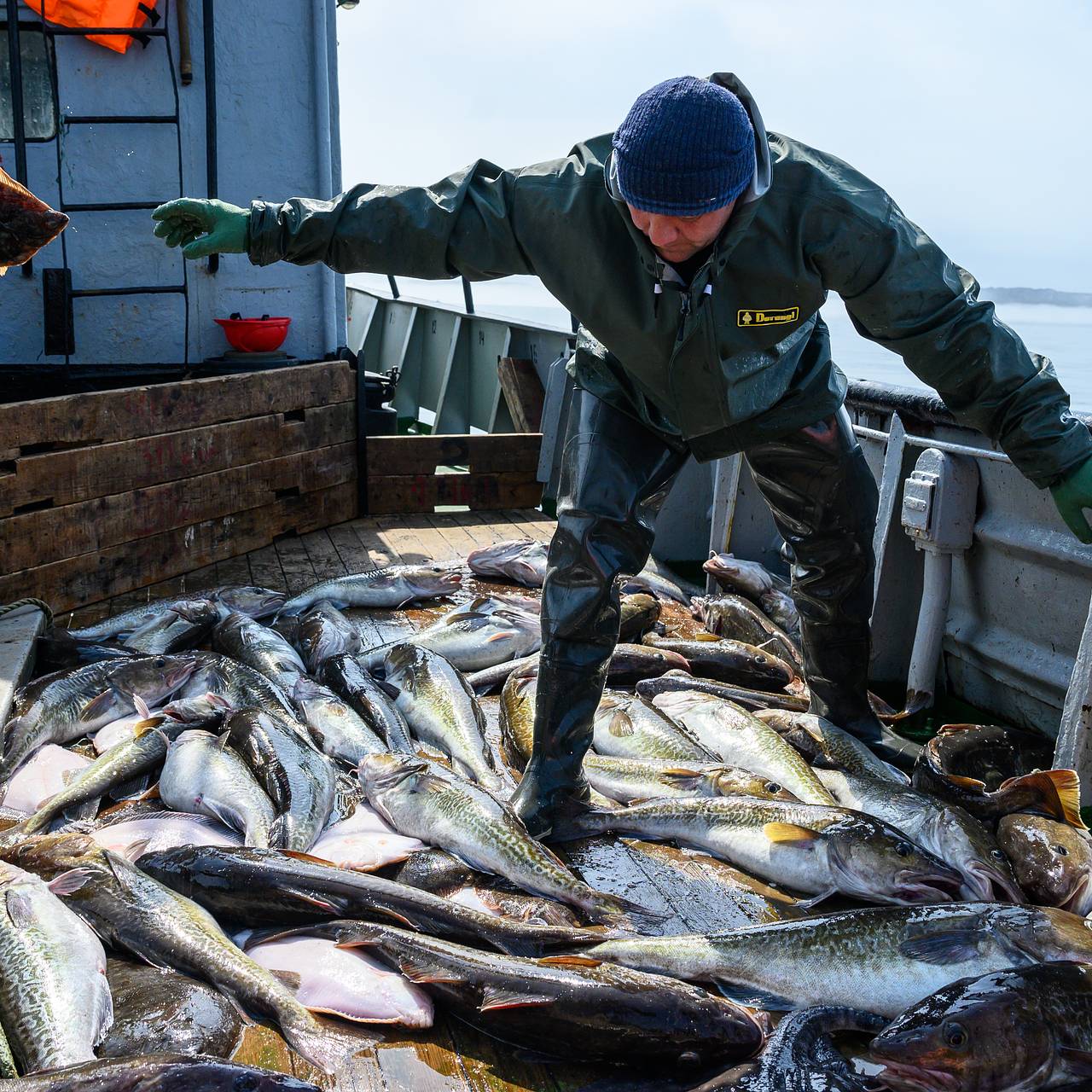 Доходы России от продажи одного вида продукции в Китай заметно выросли