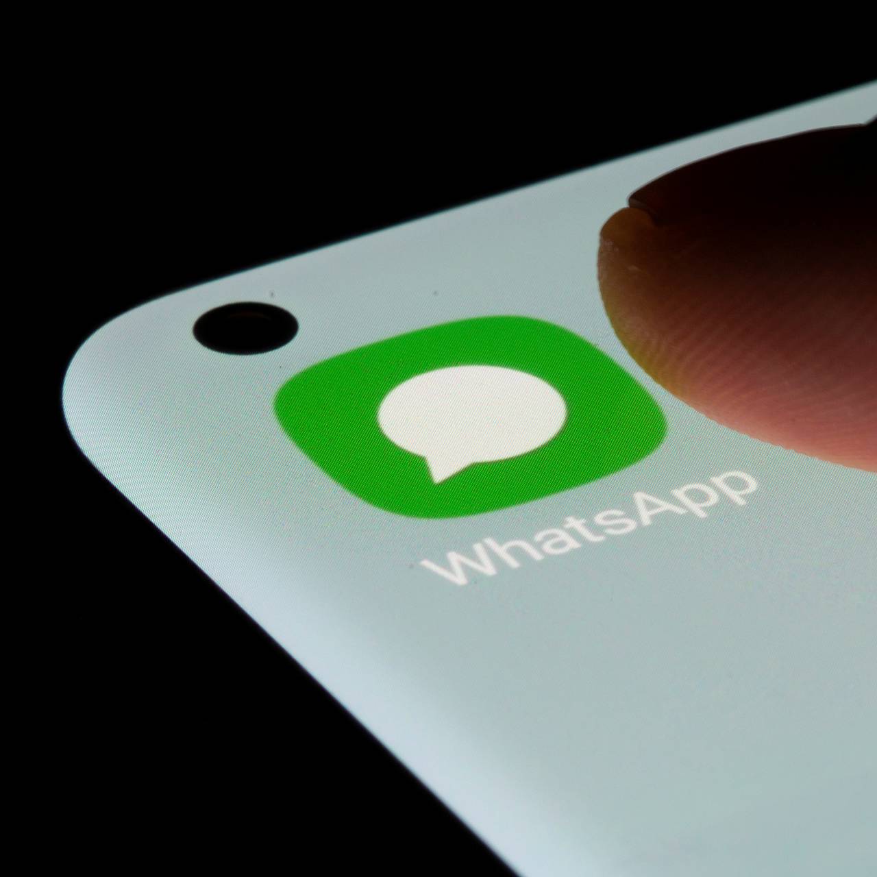 В Госдуме назвали причину ограничений работы WhatsApp и предрекли полную блокировку