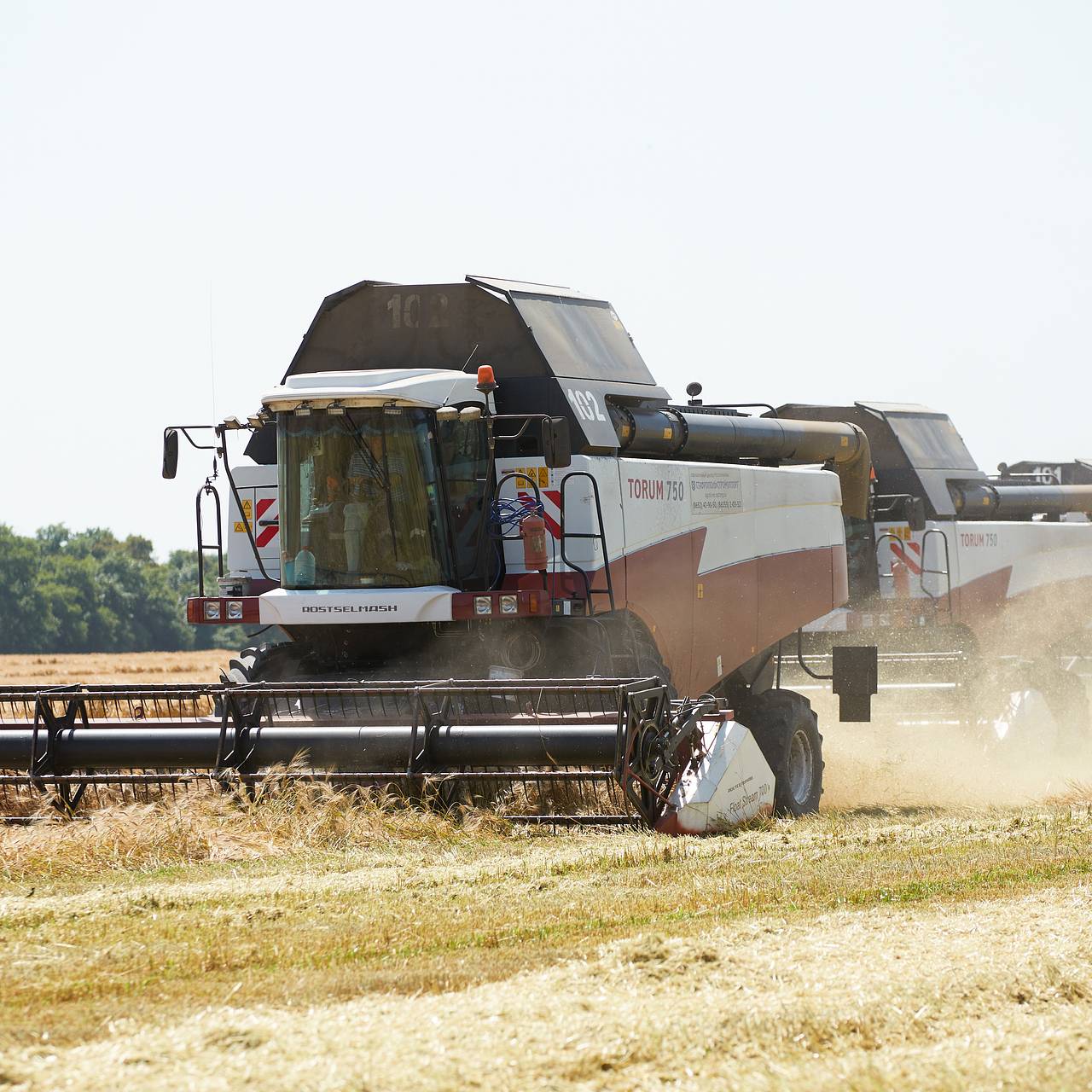 Объемы собранного в России зерна подсчитали