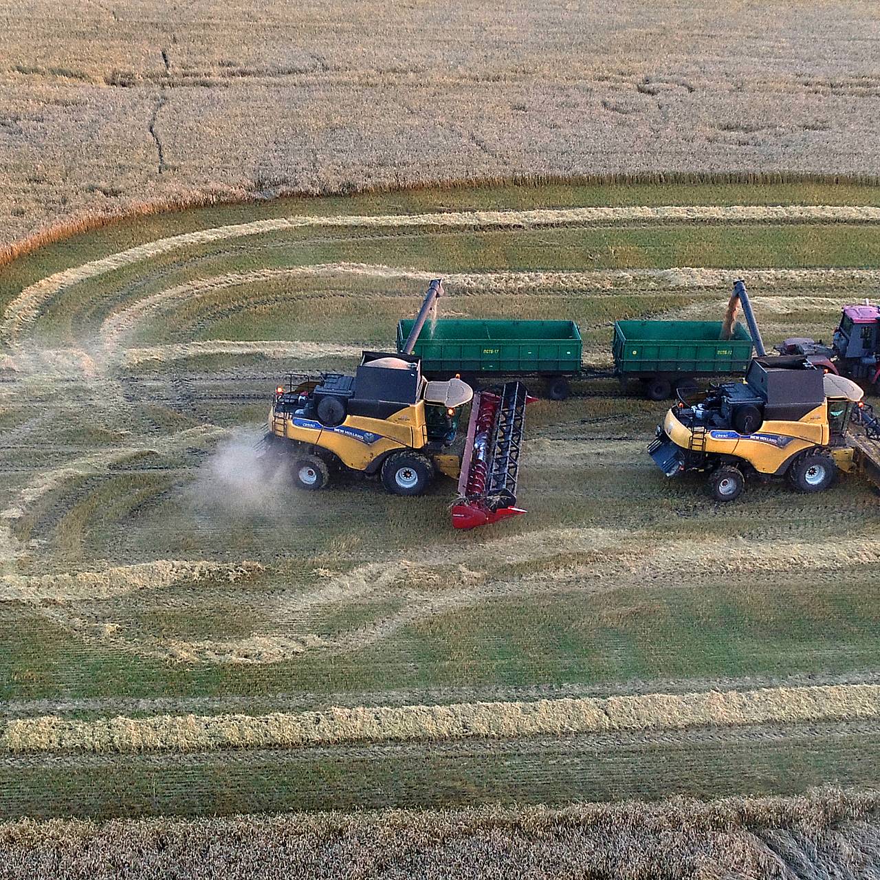 Рекордный урожай собрали в российском регионе