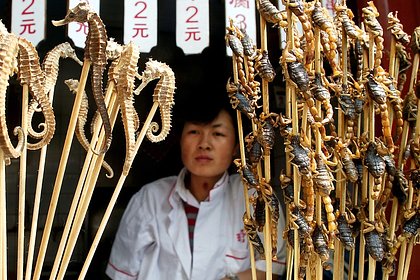 «Мне даже смотреть тошно». Какая еда шокирует российских туристов в США, Германии, Мексике и других странах?