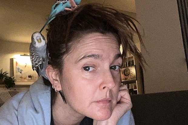 Вводная картинка