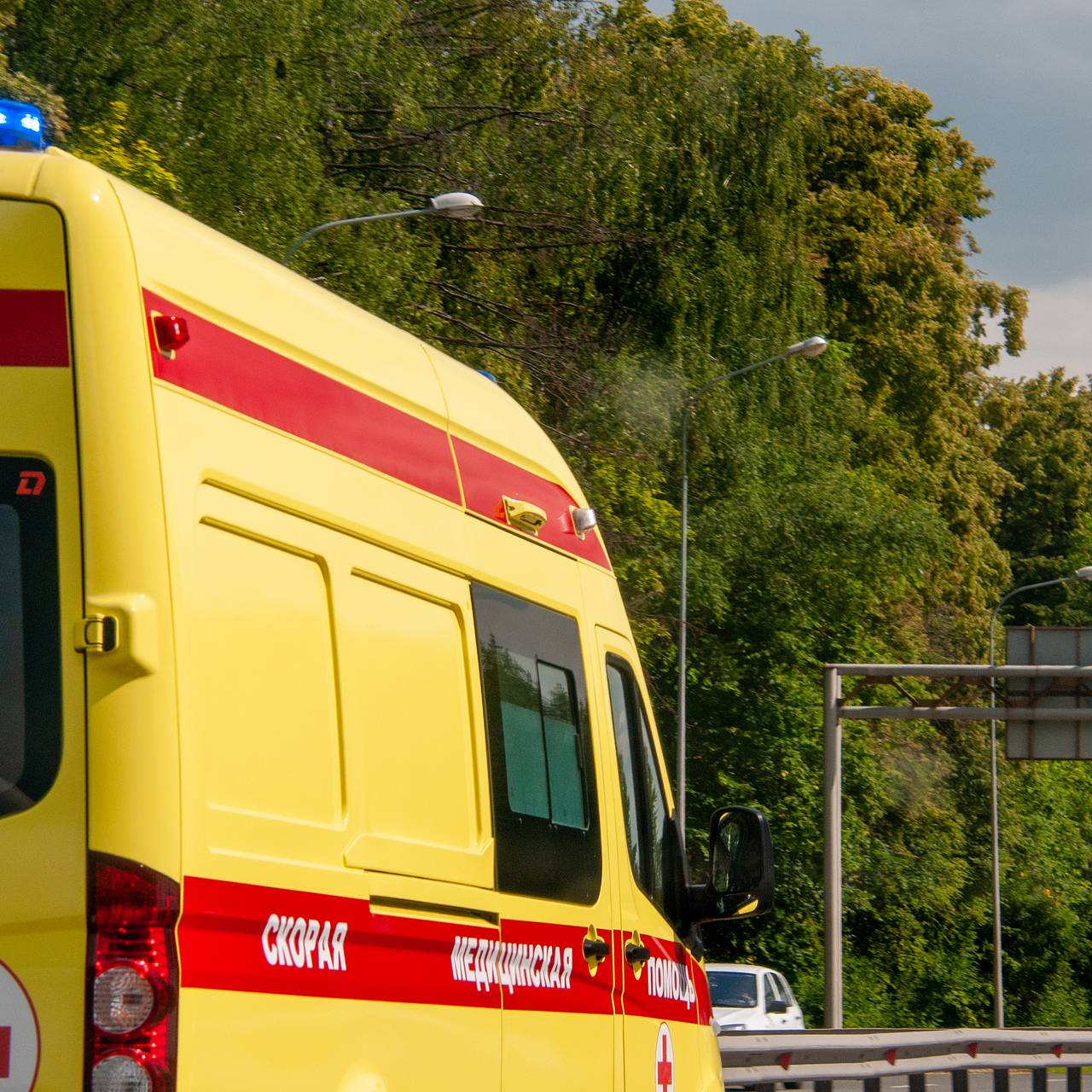 Фото: Global Look Press