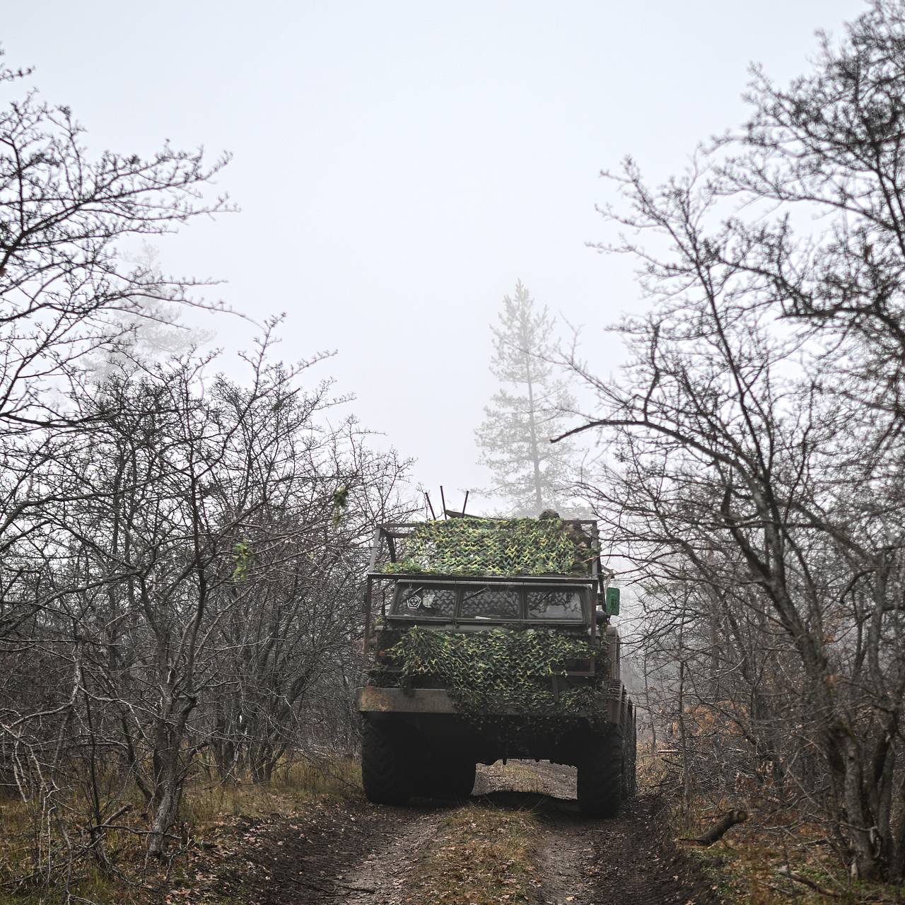 Фото: Сергей Бобылев / РИА Новости