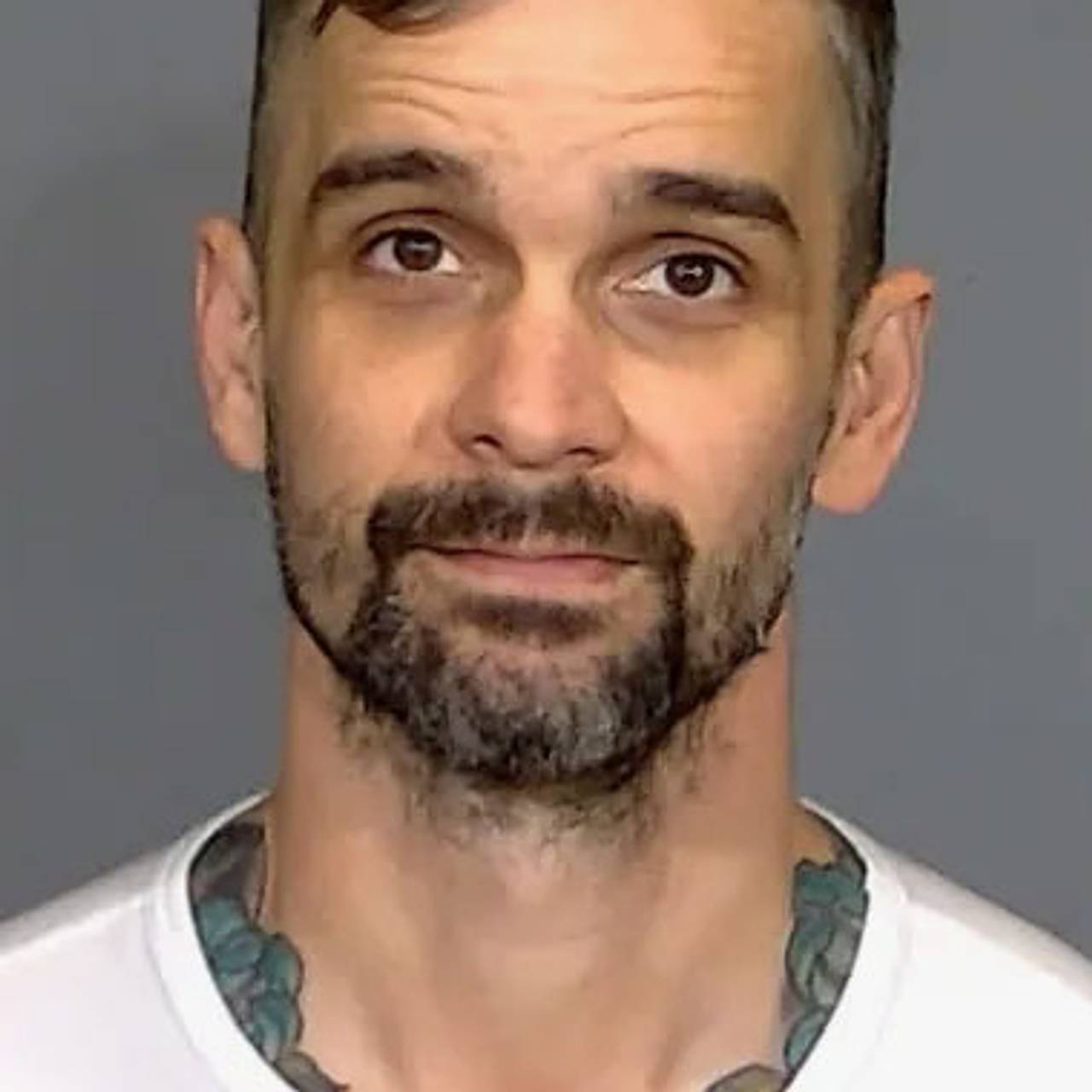 Популярного блогера арестовали за изнасилование падчерицы