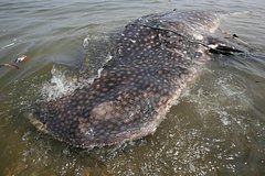 Архивное фото