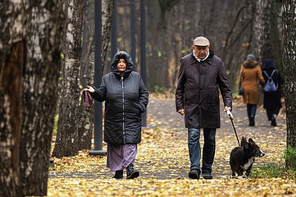 Новая схема обмана пожилых людей заработала в России