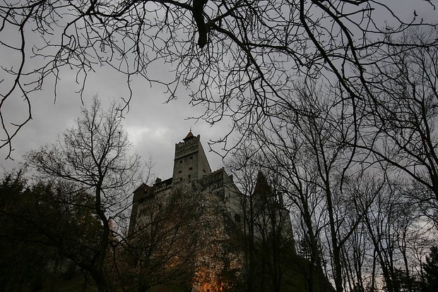 Вводная картинка