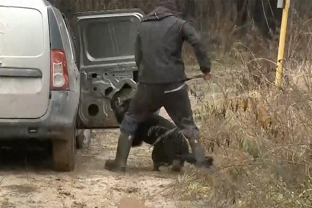 Вводная картинка