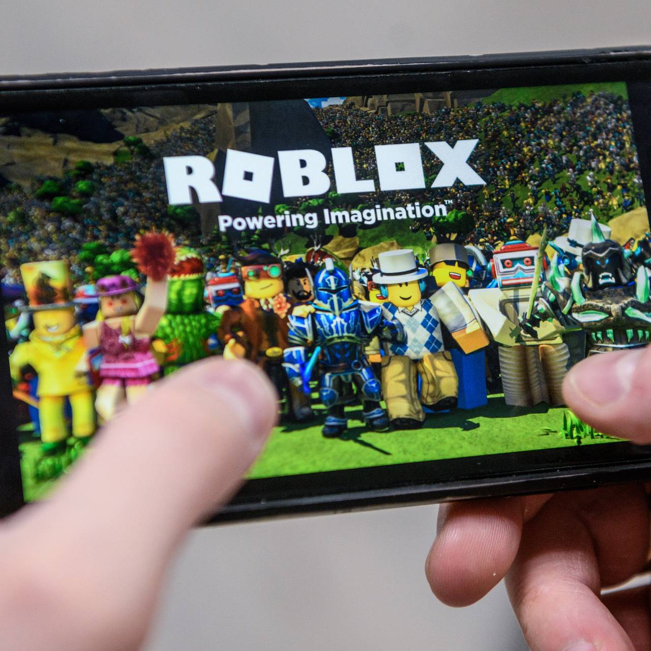 Мизулина свяжется с Роскомнадзором из-за блокировки Roblox