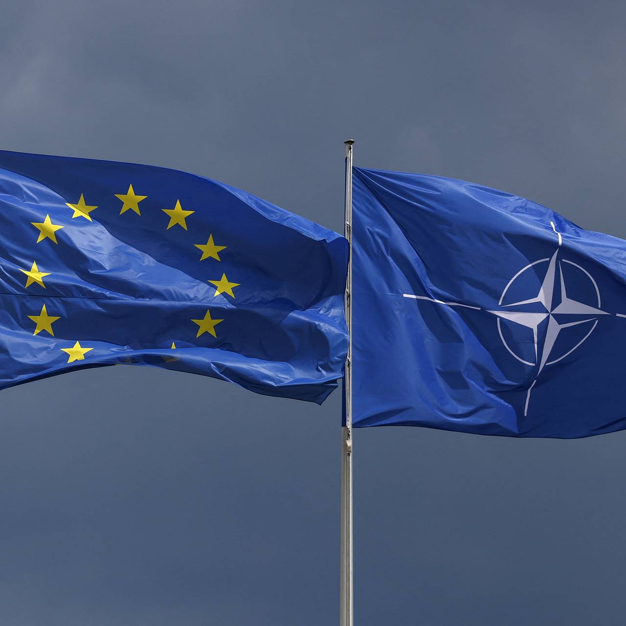 Экс-советник Пентагона спрогнозировал судьбу НАТО после провала Украины