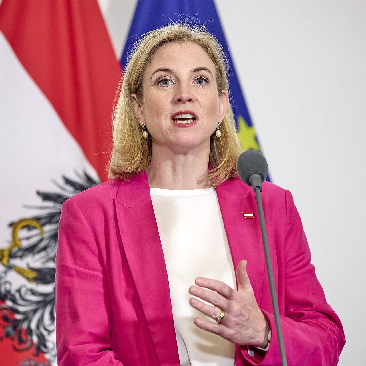 Австрия озвучила обязательные условия для мира на Украине