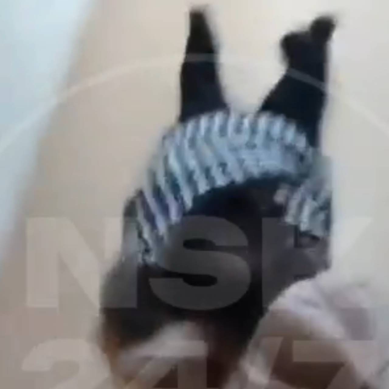 Российских чиновников застали пьяными ночью в окружной администрации и сняли на видео