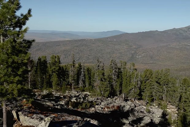 Вводная картинка