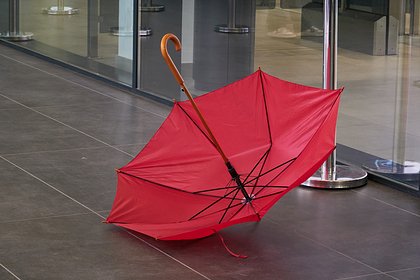 Москвичам назвали время окончания сырой погоды