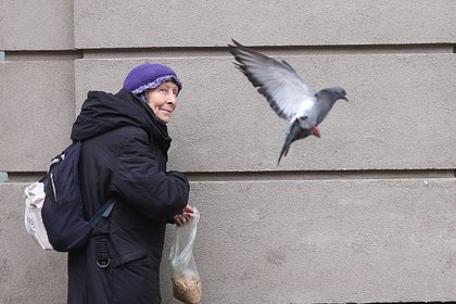 Назван размер средней пенсии в России в 2026 году