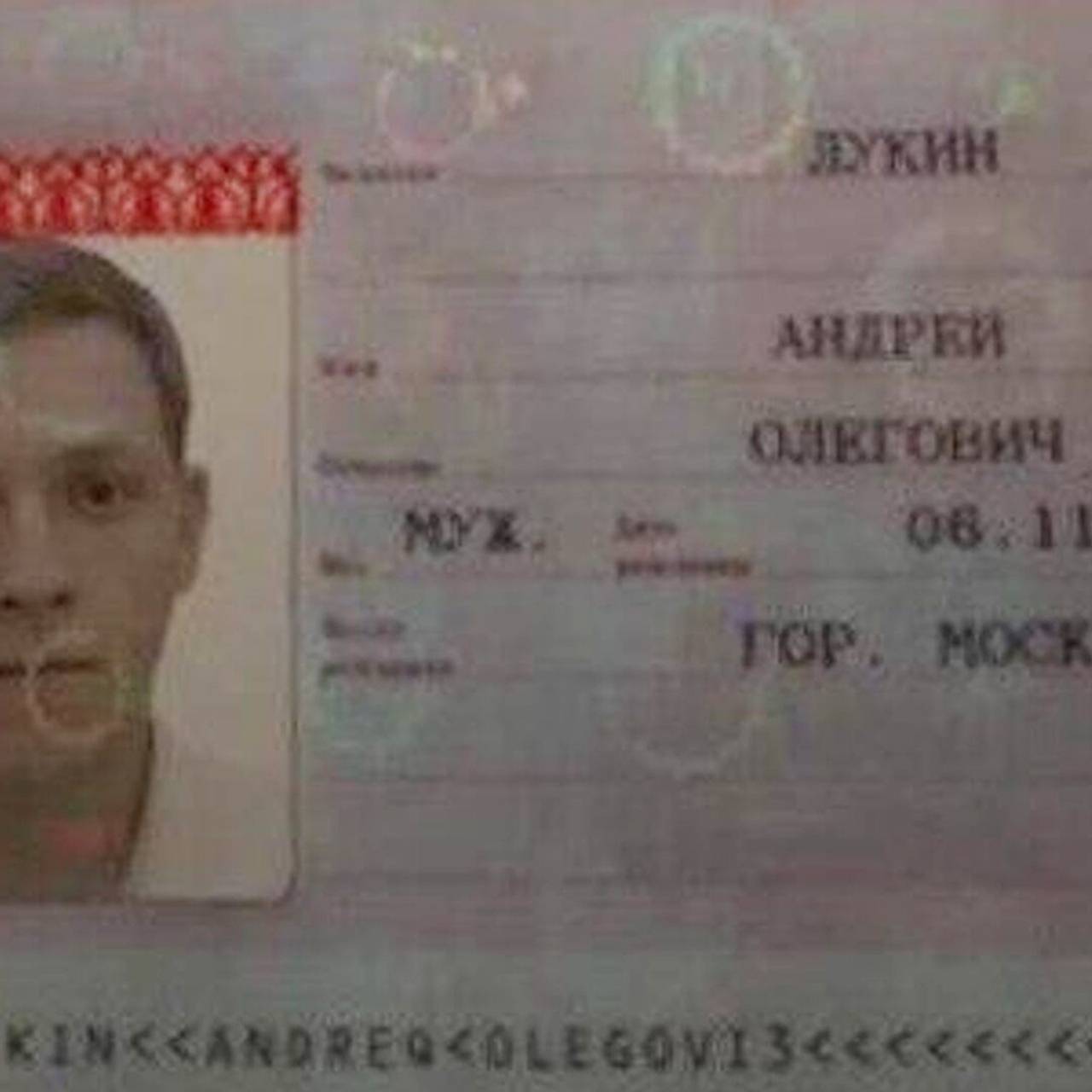 Появились подробности мошеннической схемы против Долиной