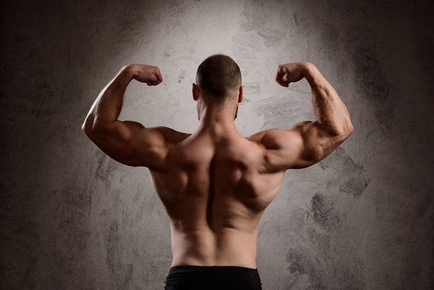 Вводная картинка