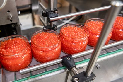 Перечислены признаки качественной красной игры