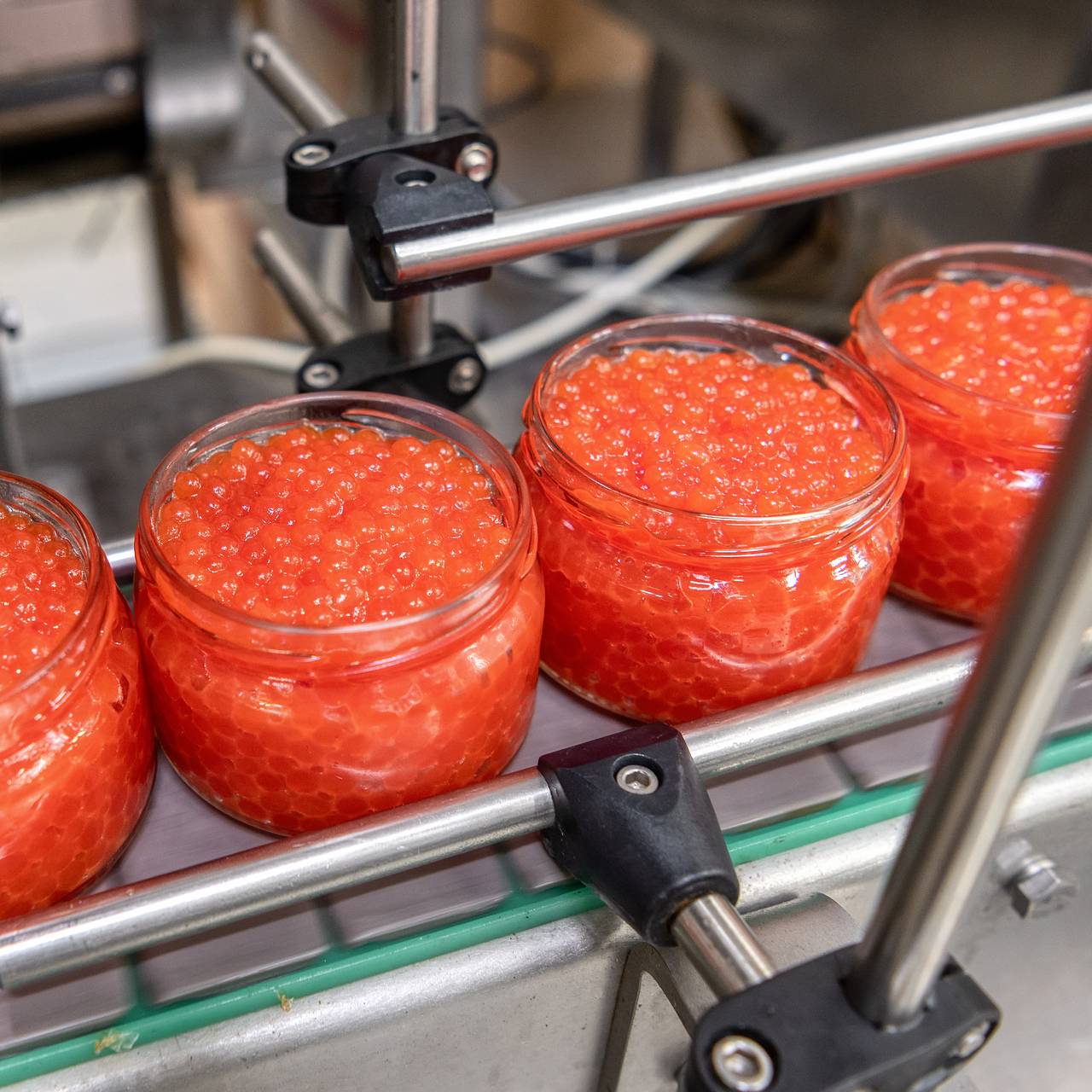 Перечислены признаки качественной красной икры