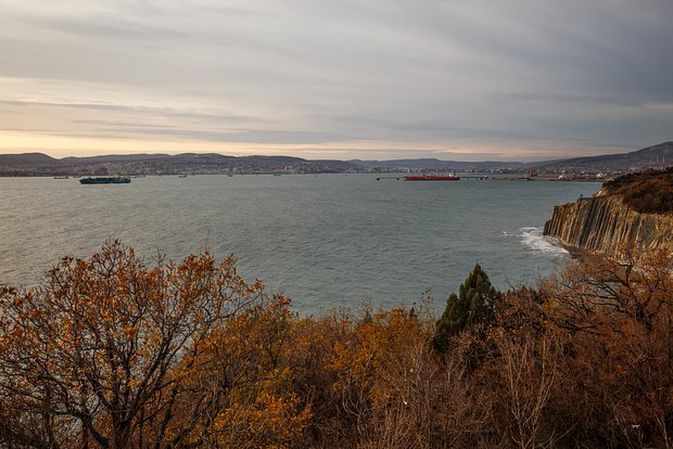 Вводная картинка