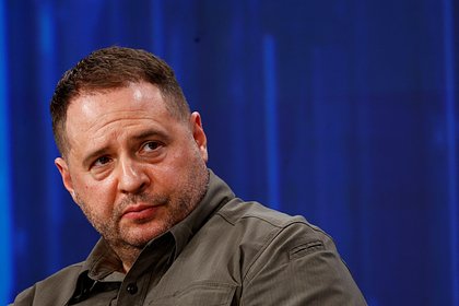 Жена соратника Ермака зарегистрировала в США бизнес