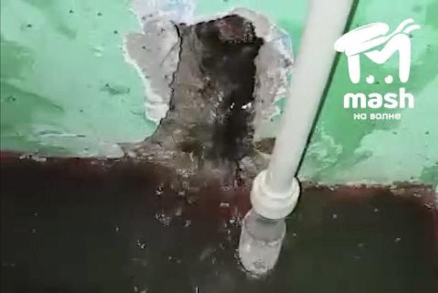 Вводная картинка