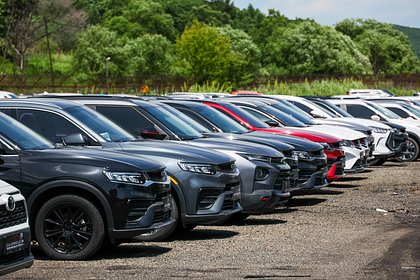 В Японии после мощного землетрясения зафиксировали 14 подземных толчков